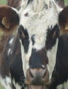 La Nuit Du Rock And Blues