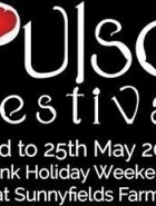 Pulse Festival ( Plus D'édition)