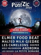 Festival Pont D'zic ( Rdv En 2016)
