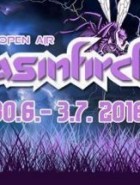 Basinfirefest