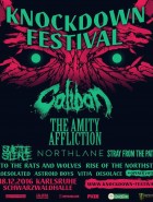 Knock Down ( pas d'édition 2017)