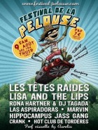 Festival De La Pelouse ( plus d'édition)