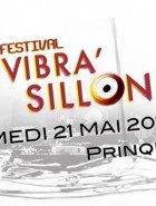 Vibra'sillon